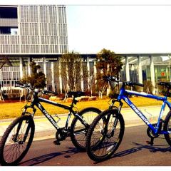 【泗阳县印象】泗阳县旅游怎么样_泗阳县哪里