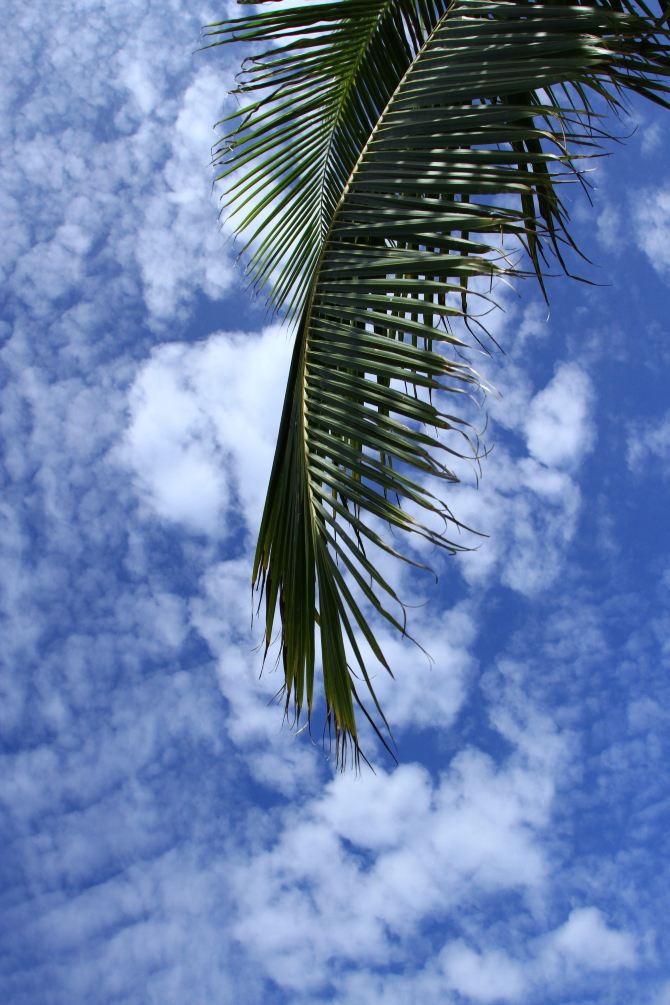 马代欢乐多,一挖一麻袋--马代双鱼岛6日4晚自由