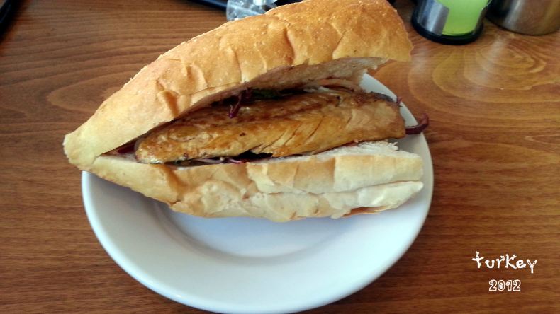 西拉索拉多.穿越亚欧之境(一)伊斯坦布尔(上篇