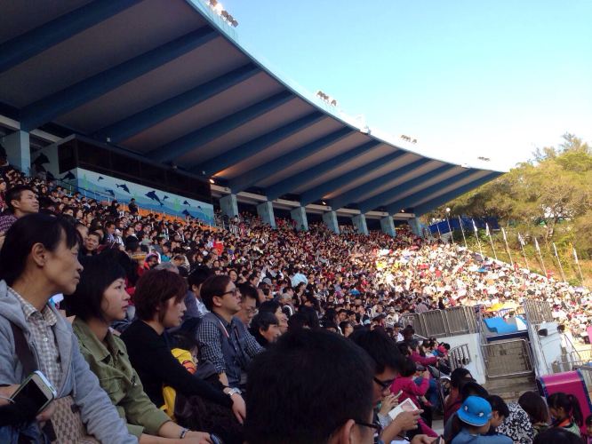 马年春节带孩子4日自由行功略 - 香港游记攻略