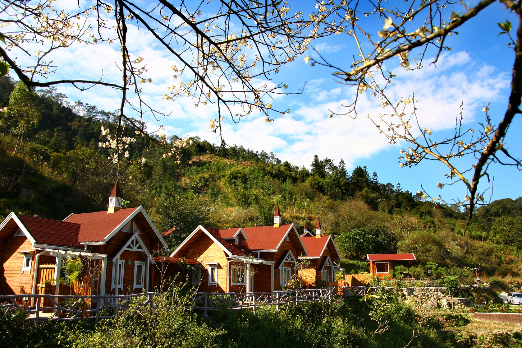 玩不啦景点门票 广东门票 新兴门票 新兴天露山旅游度假区