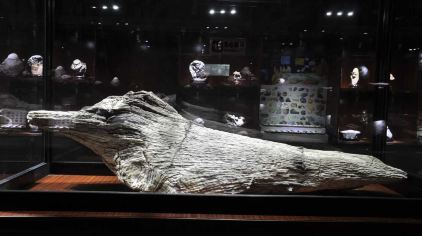 石林喀斯特地质博物馆门票多少钱_石林喀斯特