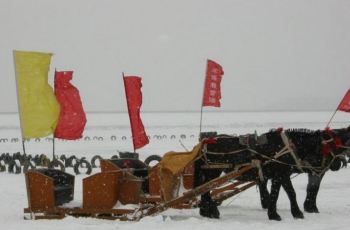 龙珠二龙山滑雪场,宾县龙珠二龙山滑雪场攻略