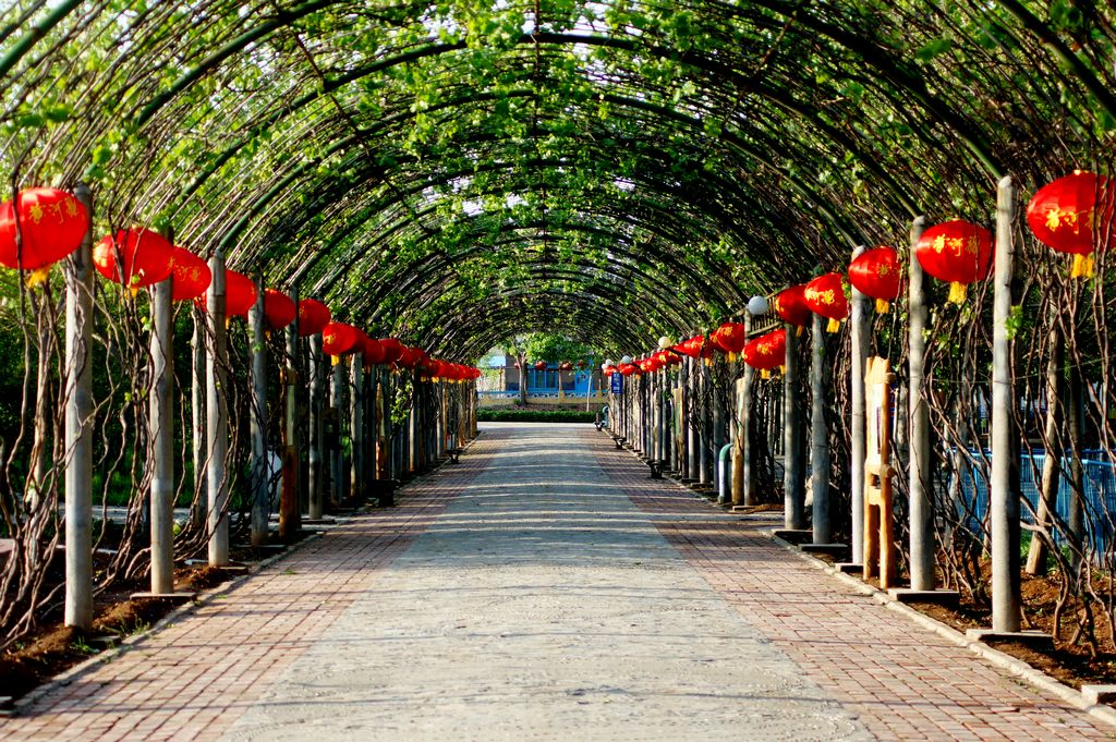 淄博玉黛湖-3.jpg