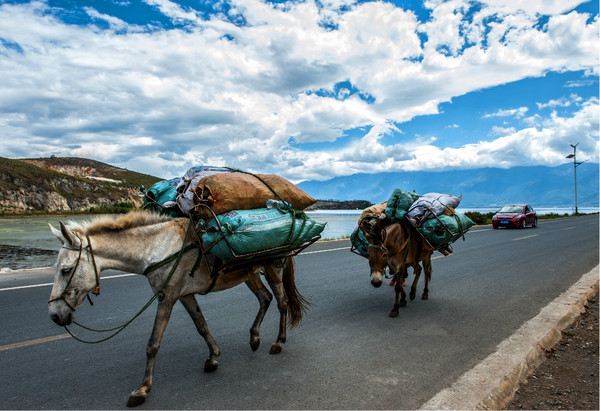 【By DMC】三千里路云和月!到云南走婚!成都