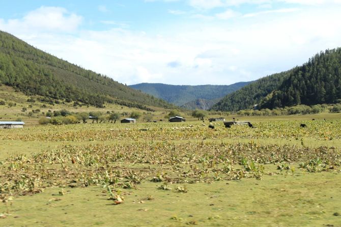 普达措国家公园--云南省迪庆藏族自治州香格里