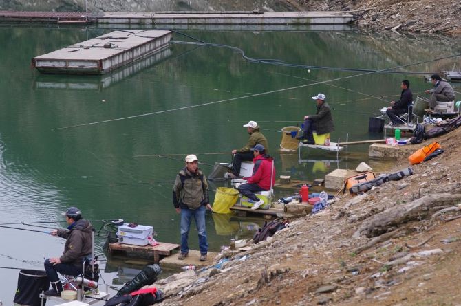 去千岛湖钓黄尾鲴,去杭州临安昌化看山花烂漫