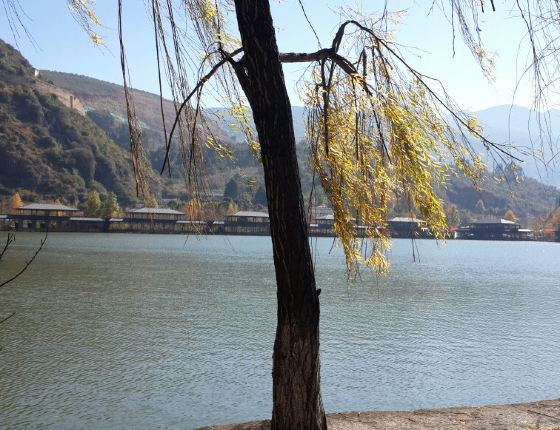 5月12号左右南宁到丽江求结伴 - 携程社区