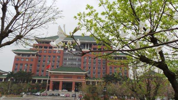 广州华南农业大学– 一座开满紫荆花的大学
