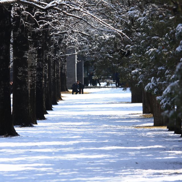 北京雪景