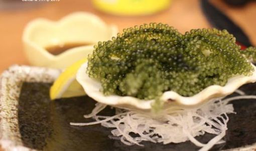 【携程攻略】日本海葡萄哪里吃,日本哪家海葡