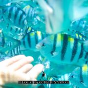 是一片用放大镜才能在地图上找到的菲律宾小群