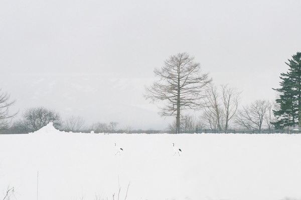 胶片时光 · 一个人漫步北海道11日,美景美图美