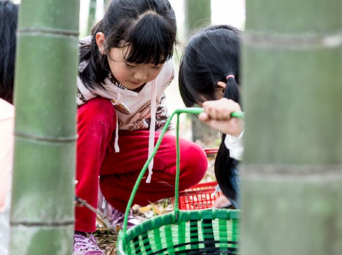 带着萌宝去桐庐(桐庐农家乐吃住行全方位解析)