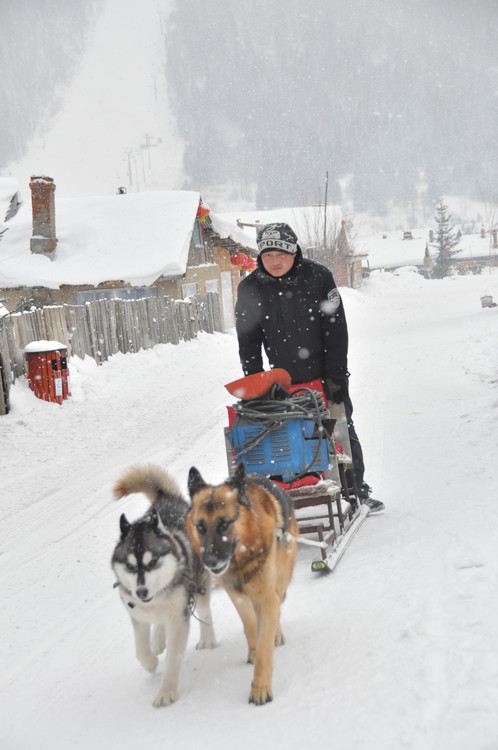哈尔滨原生态东升林场1日游,美食、雪景玩个遍