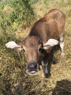 【携程攻略】阜宁旅游图片,阜宁旅游景点图片