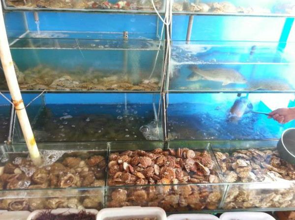 苏州到日照三日游~自由行 - 日照游记攻略【携