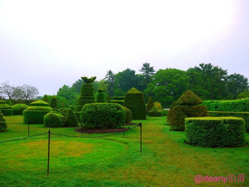 【加油站】【海外租车】美国东部赏花、观鲸游