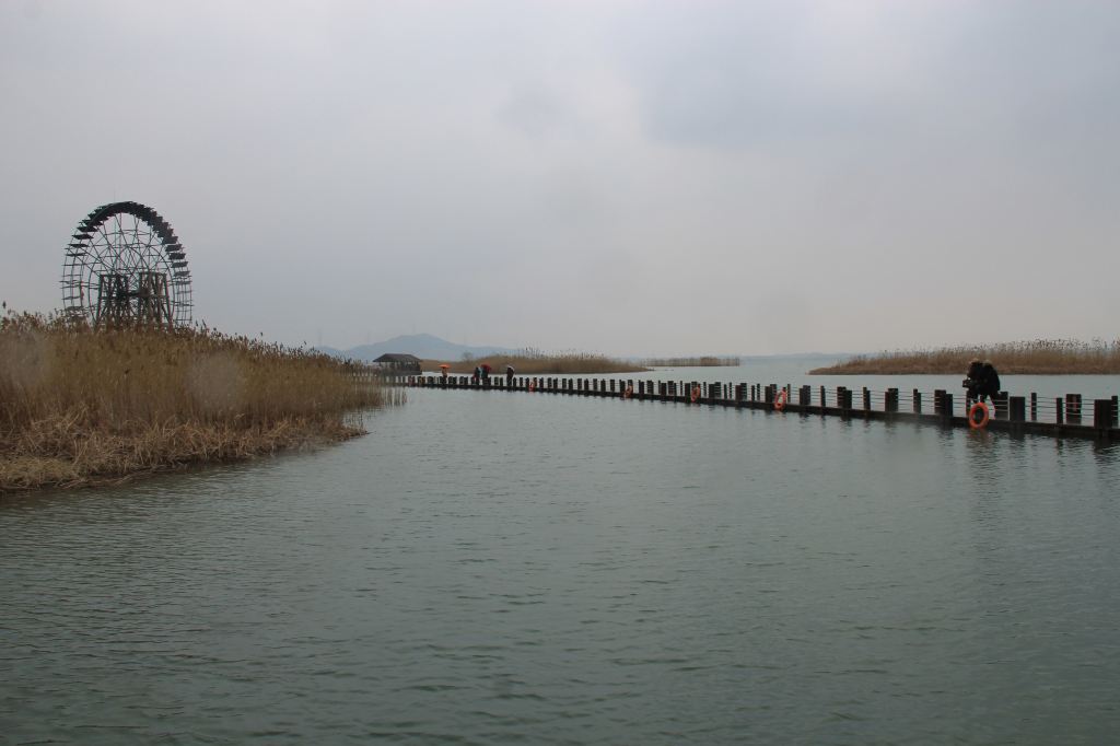 春季自驾游15:游苏州太湖公园,赏西山梅海