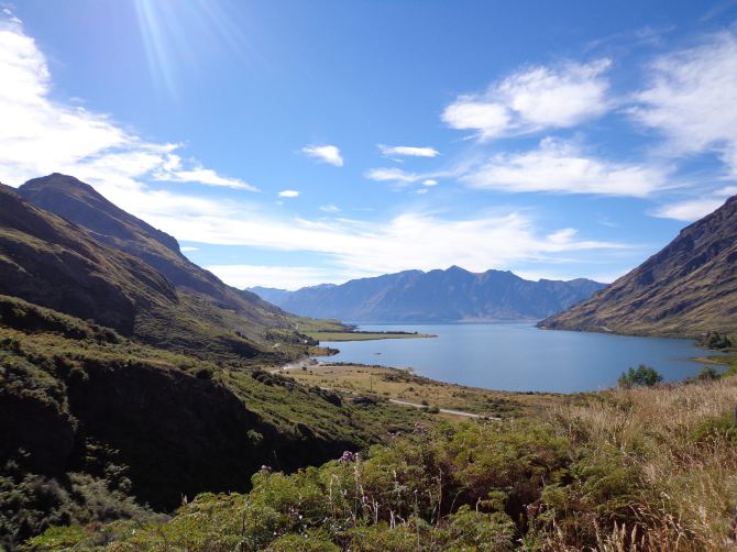 新西兰交通法规中文版-第四部分(实用心得) - 新