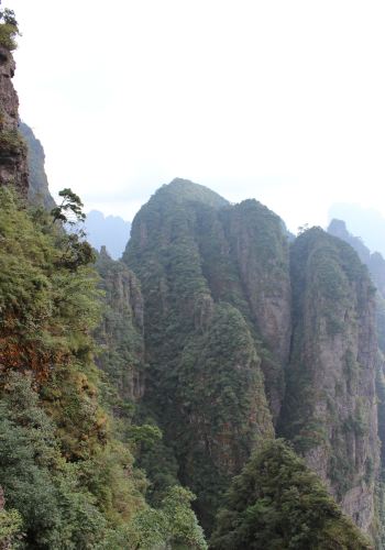 耳闻广西金秀的圣堂山,山峰巍峨林立,海拔均在1600米以上,主峰