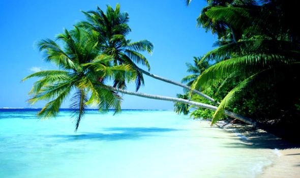【斐济印象】斐济旅游怎么样_斐济哪里好玩_