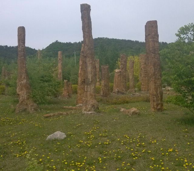 本溪水洞,地质博物馆,硅化木公园一日游