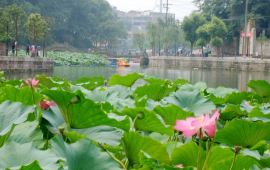 【携程天气预报】自贡富顺西湖天气预报一周,