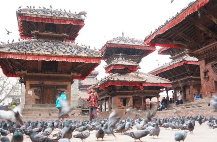 尼泊尔-加德满都的风铃 - 加德满都游记攻略