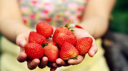 聚龙岛生态园草莓甘蔗采摘 (7).jpg