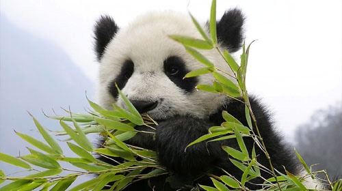 安吉旅游照片,安吉景点图片,图库,相册–携程社区