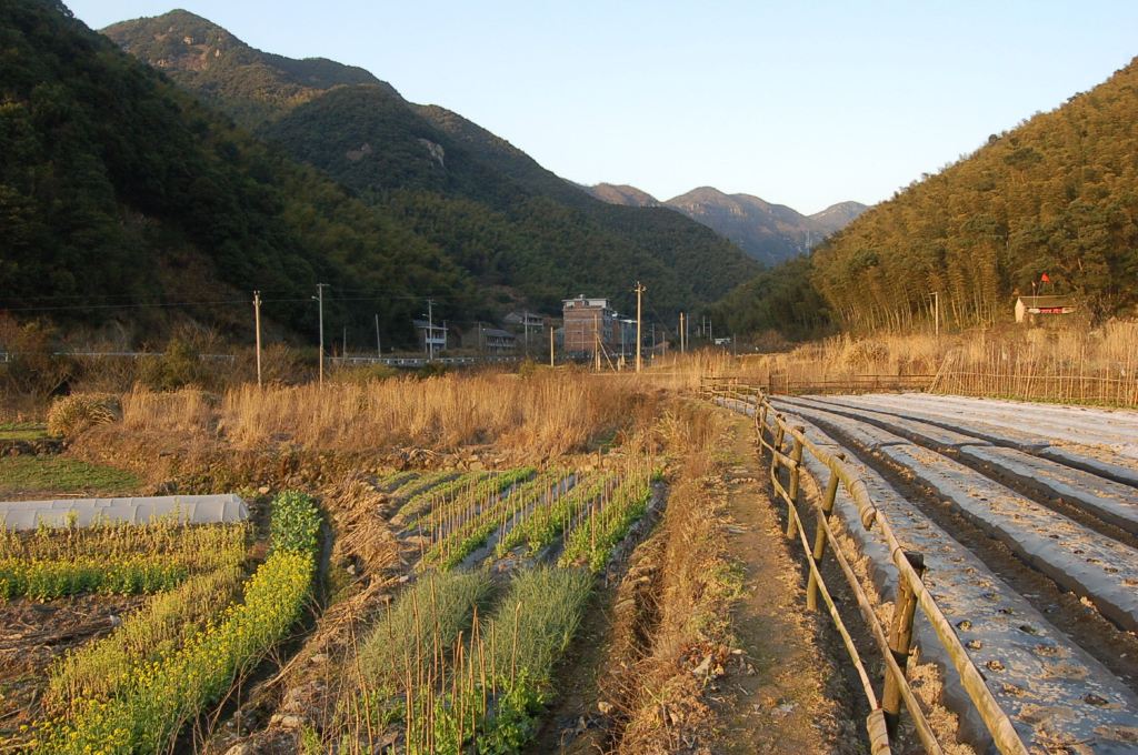 走宁海国家登山步道d2:妙相寺至龙潭