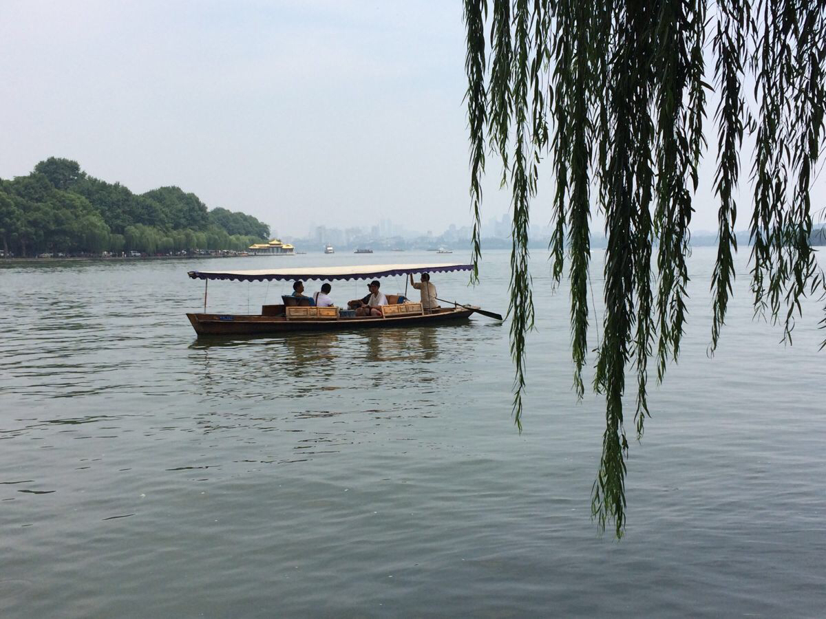 8月13日早上7点起床,晚上睡得很踏实,7:30吃早饭,8:30出发,公交车站台碰到一本地小伙,主动给我们导游了下,听从了他的建议坐4路公交到九溪下,坐面包15元到九溪烟树,沿着龙道一路走到龙井茶基地杨梅岭村,品明前茶,买茶叶,花了350元/250明前茶克,400元/500克明后茶。然后花20元面包车到太子湾公园,然后打的14元到岳王庙,门票62.