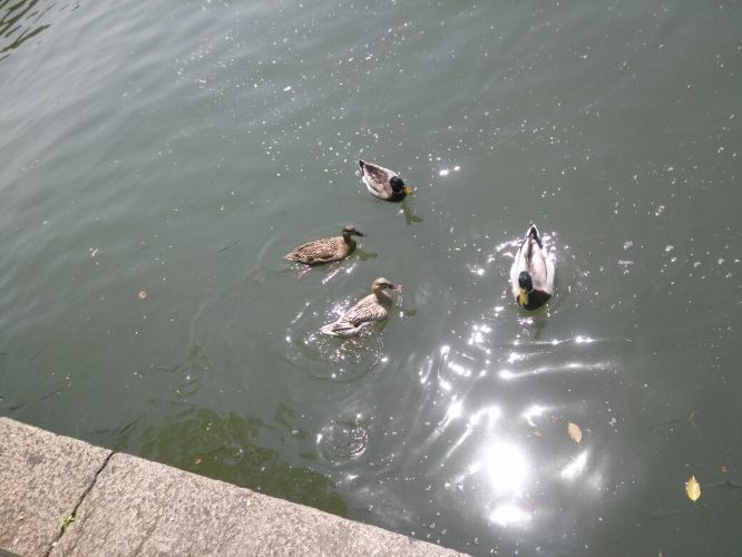 杭州。西湖。一天。 - 杭州游记攻略