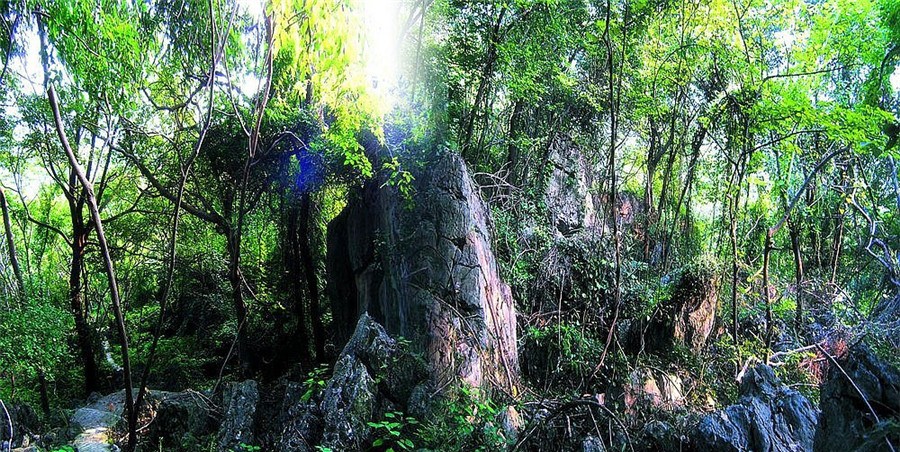 太子山王莽洞景区