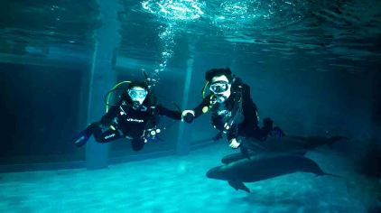 青岛极地欢乐剧场潜水体验