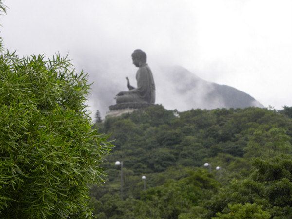 【海量指引美图】小两口五天缤纷欢乐香港深度