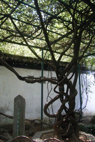 苏州游-第一次个人行游记 - 苏州游记攻略