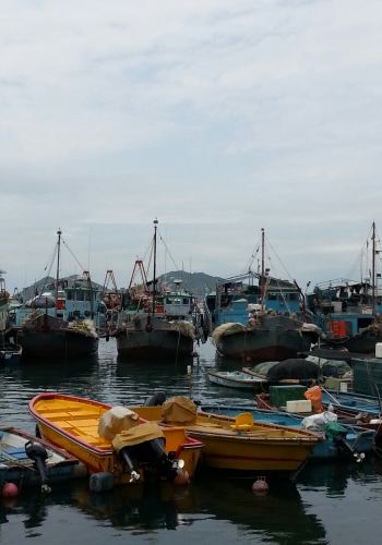 情越长洲的海岸线 - 香港游记攻略