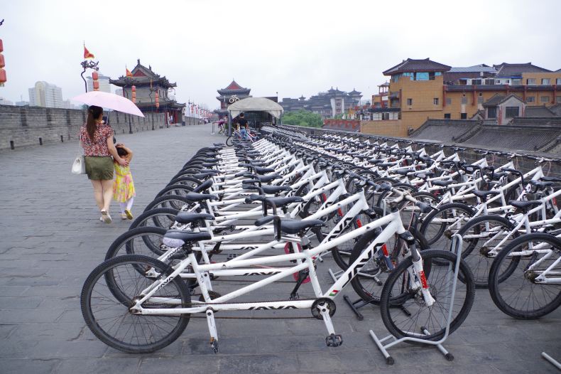 死性不改偏偏不敢用力去爱·十四 - 西安游记攻