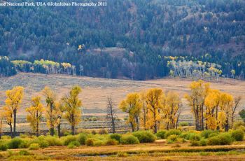 拉马尔山谷,黄石国家公园拉马尔山谷攻略\/地址