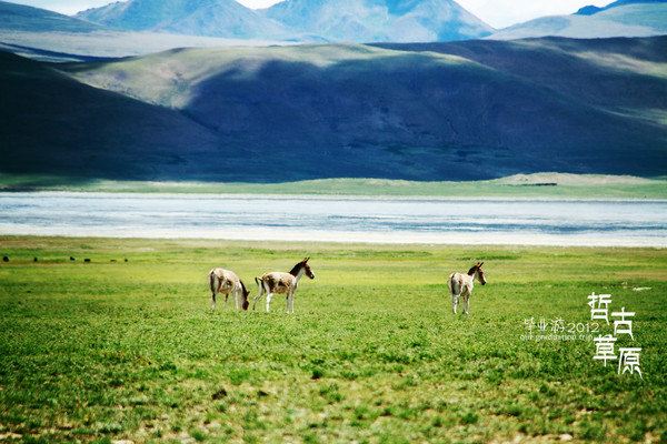 7月西藏旅游摄影自由行详细攻略 - 拉萨游记攻略