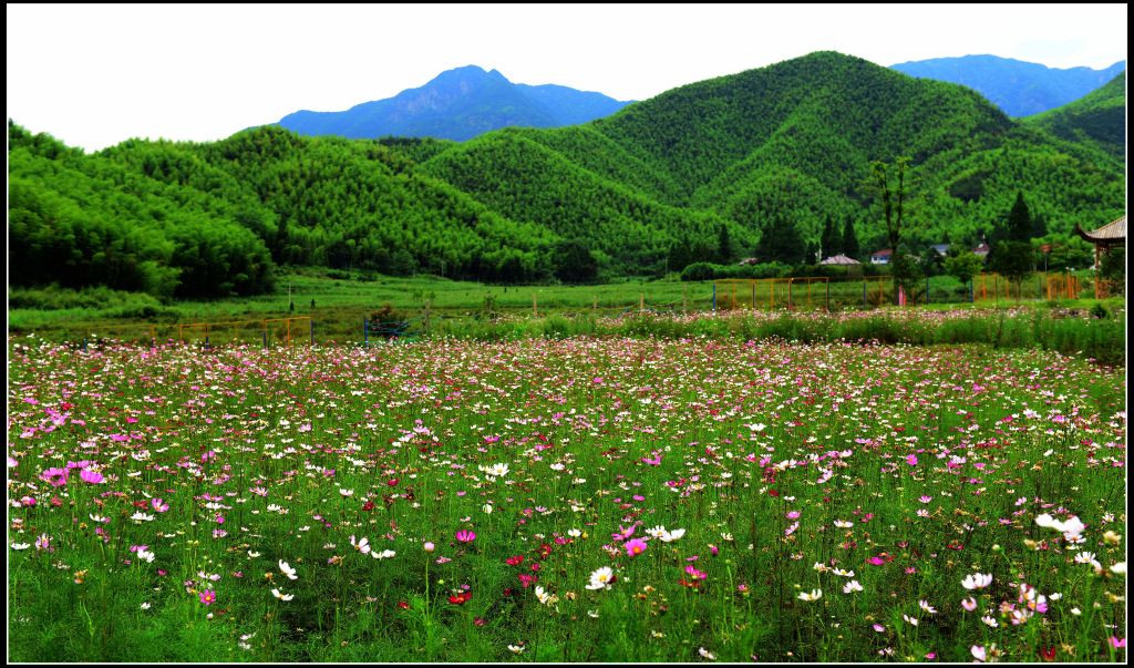 安吉山川乡之行