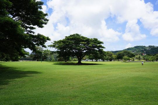 这风景让人看了就舒心,而且带孩子出来去热带城市还是很明智的选择,不
