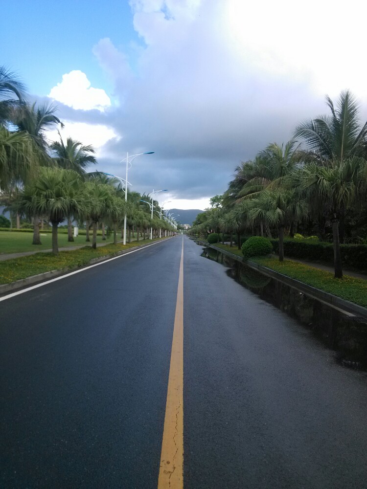 雨后晨跑,空气更加清新,景色更加宜人.