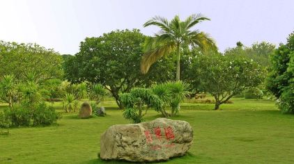 西双版纳南药园景区