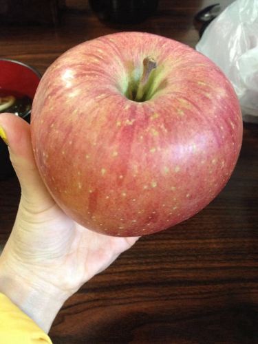 兴奋的心情游览日本经典路线 - 日本游记攻略