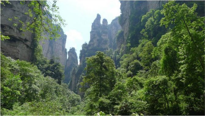 张家界星晴之旅自助游导游小吴 游记攻略 服务