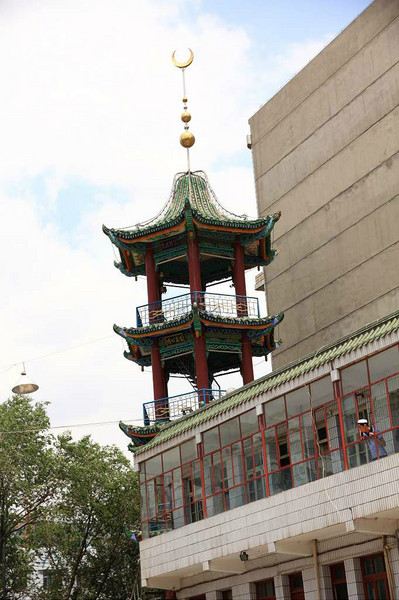 中年流浪记39---敦煌情 西宁梦 青海浮沉(结局篇