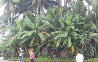 厦门--三亚--广州,我和老公的蜜月之旅